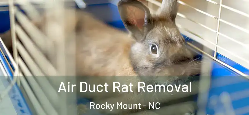  Air Duct Rat Removal Rocky Mount - NC