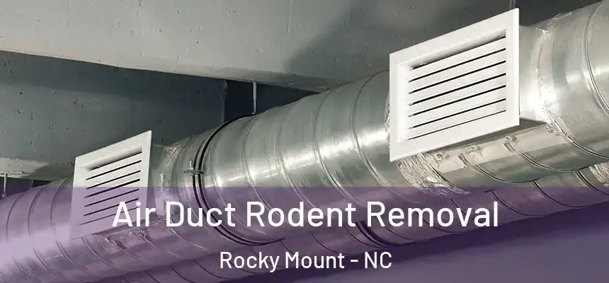  Air Duct Rodent Removal Rocky Mount - NC