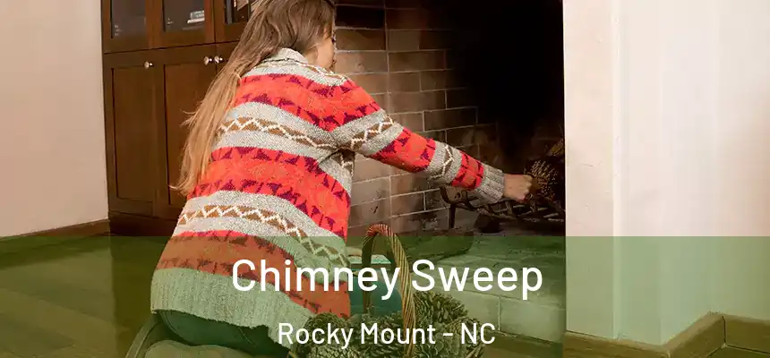  Chimney Sweep Rocky Mount - NC