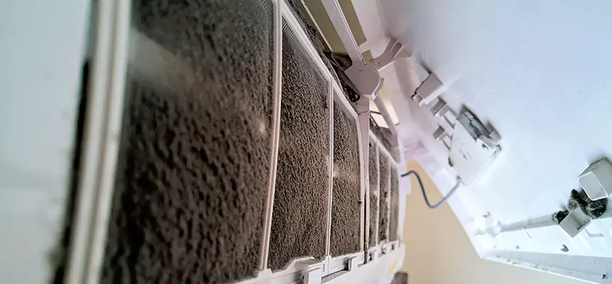 Preventive Air Duct Bacteria Removal in Rocky Mount