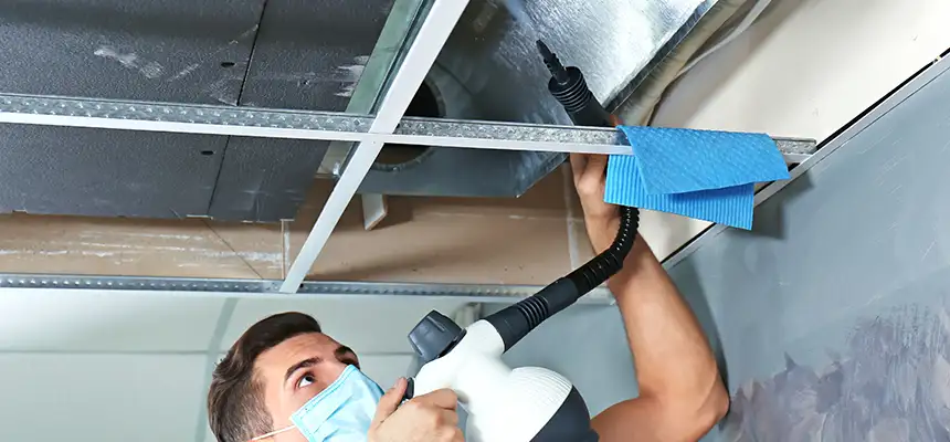 Our Air Duct Rodent Removal Services in Rocky Mount, NC