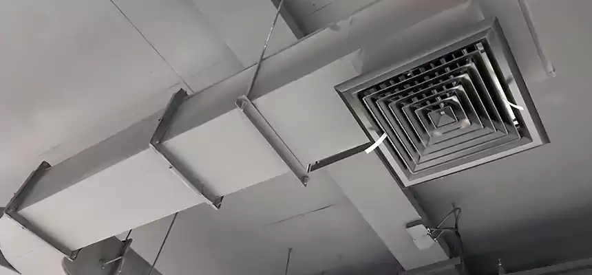 Restorative Allergy Relief Vent Cleaning – Coil, Blower & Housing Detail in Rocky Mount