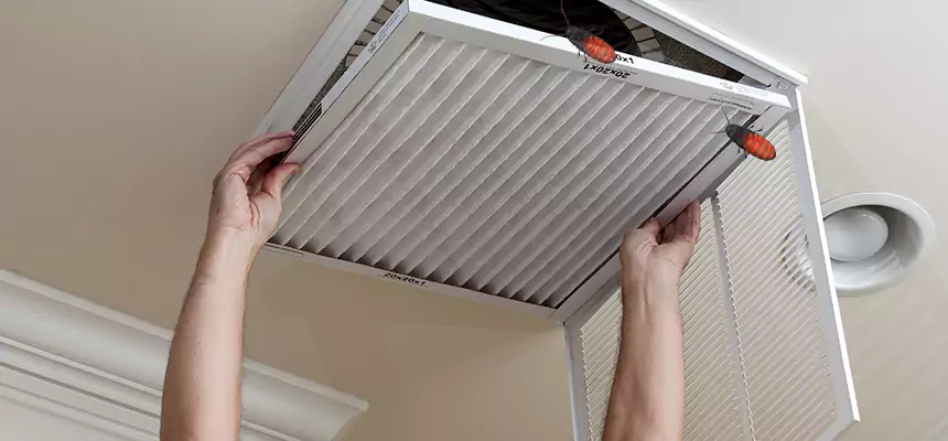 Our Insect Removal from Air Ducts Services in Rocky Mount, NC