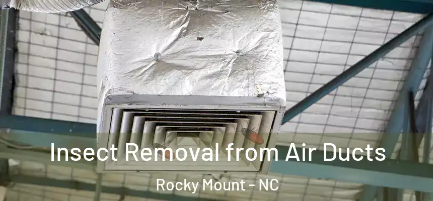  Insect Removal from Air Ducts Rocky Mount - NC