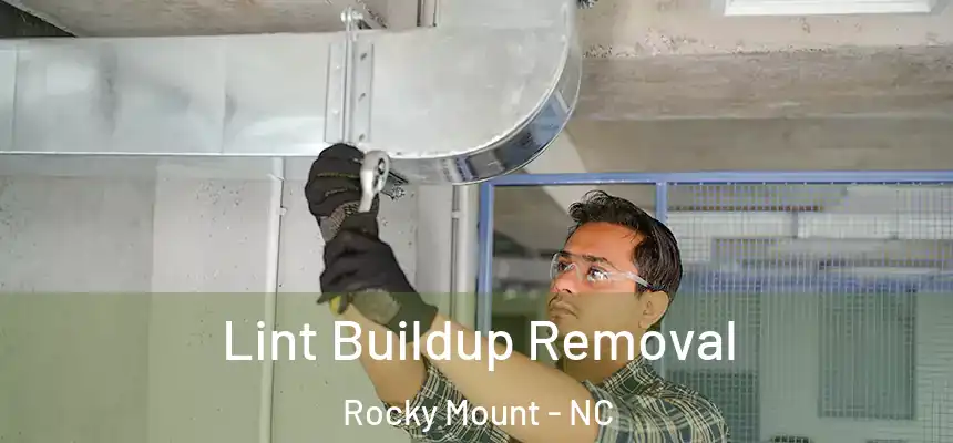  Lint Buildup Removal Rocky Mount - NC