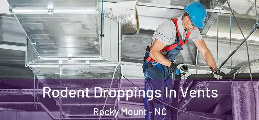  Rodent Droppings In Vents Rocky Mount - NC