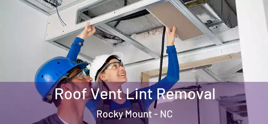  Roof Vent Lint Removal Rocky Mount - NC