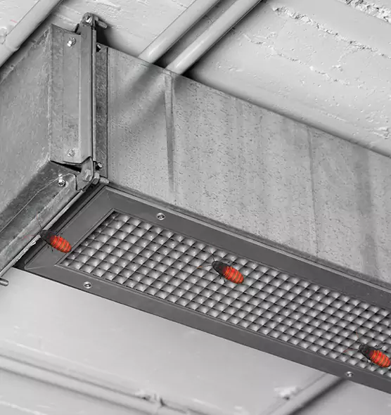 About Air Duct Cockroach Removal in Rocky Mount, NC