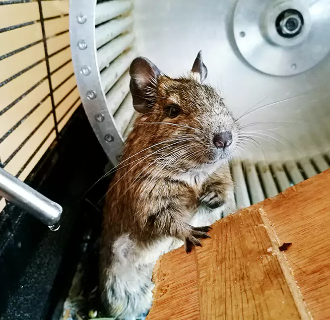 Why Homeowners & Businesses Trust Us Rocky Mount, NC?