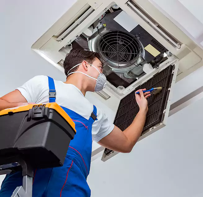 Why Homeowners & Businesses Trust Us in Rocky Mount, NC