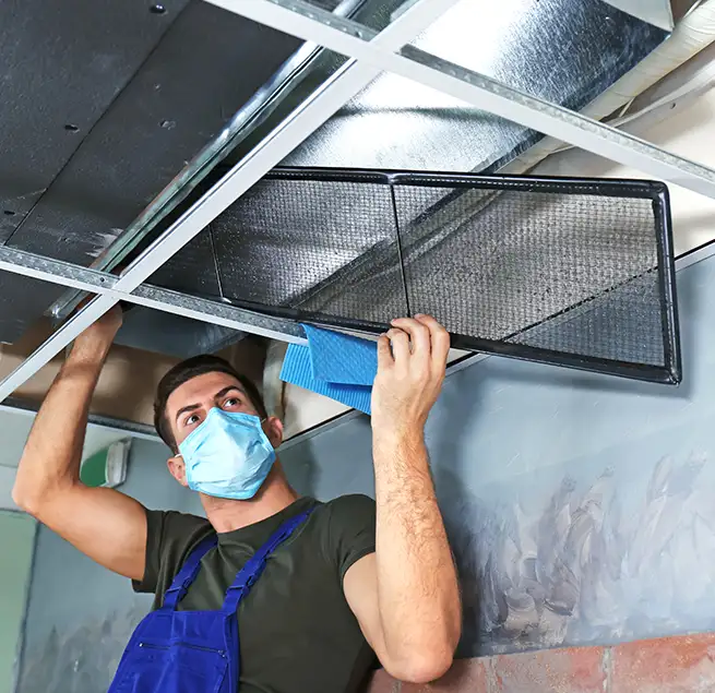 Why Homeowners & Businesses Trust Us in Rocky Mount, NC?