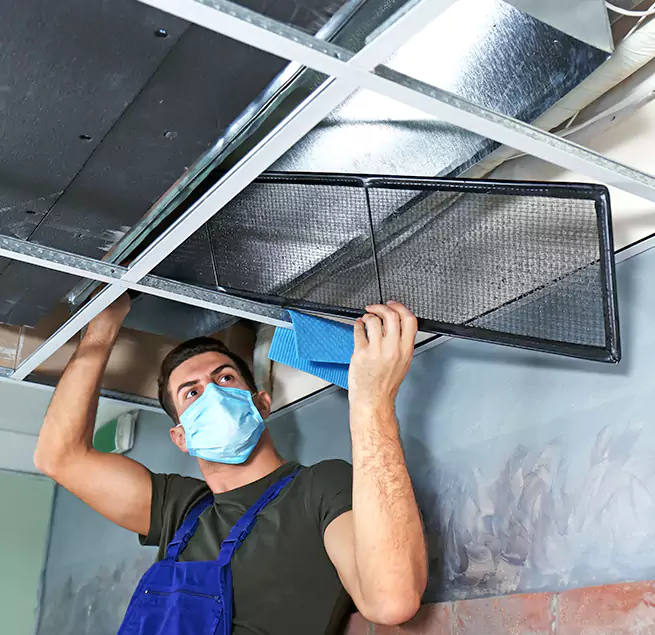 Why Homeowners & Businesses Trust Us in Rocky Mount, NC?